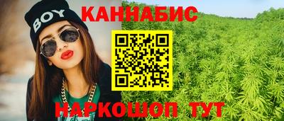мет Кингисепп
