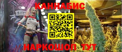 мет Кингисепп