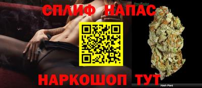 мет Кингисепп