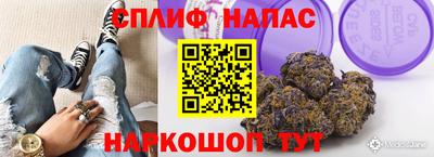 мет Кингисепп