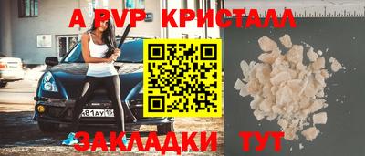 мет Кингисепп